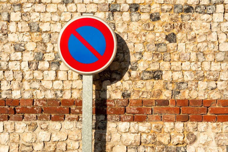 A circular no parking traffic sign with a red border, blue background, and a red diagonal line across it is mounted on a grey metal pole. The sign is positioned outdoors against a textured stone wall 