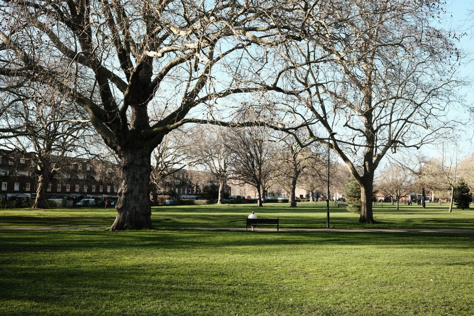 A spacious park area with a well-maintained green lawn and several large, leafless trees with thick trunks and sprawling branches stretching outwards. In the background, there are residential buildings lining the edge of the park, with parked cars visible along the street. The scene is illuminated by natural daylight, and a solitary individual is seated on a bench towards the middle distance, facing away from the camera. The park appears calm and quiet, with no visible moving objects or people in active motion. This setting could be part of a house removal process in the Wandsworth area, where companies like Man with Van Wandsworth may operate for furnishings or equipment transport, or during packing and loading activities near the property. The image highlights the outdoor environment, suitable for illustrating relocation logistics, furniture transport, or moving preparations in the context of SW18 flats near Wandsworth Common.