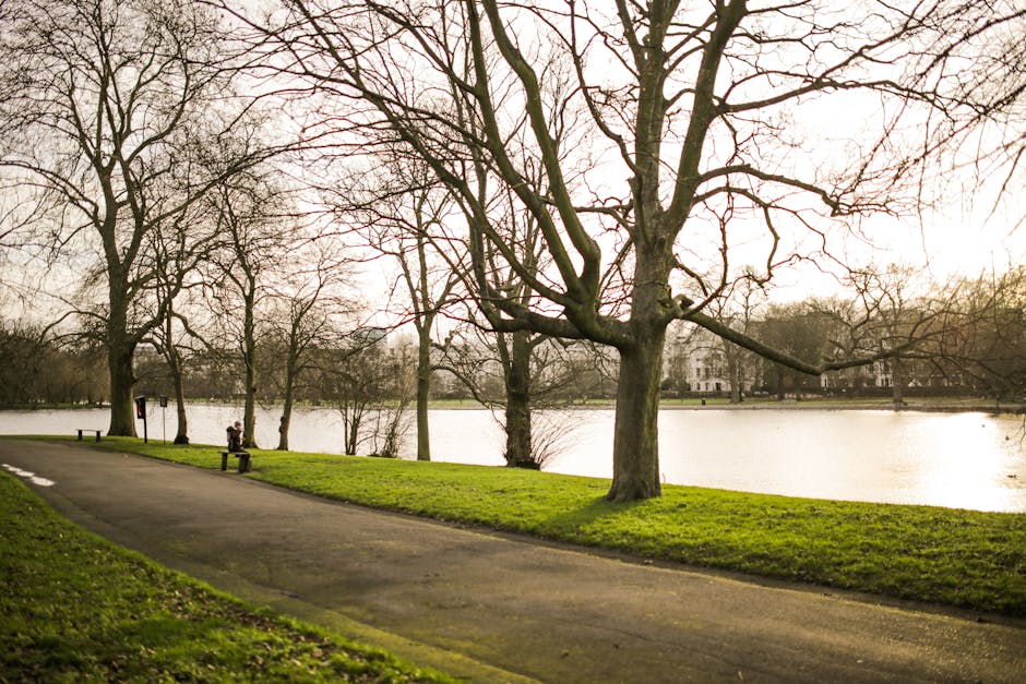 A scenic view of a lakeside park during late autumn or early winter with leafless trees lining the water's edge. A paved pathway curves along the grassy bank, where a person is sitting on a bench. The lake reflects the overcast sky and surrounding trees. In the background, there are distant buildings partially visible through the branches. This tranquil environment suggests an outdoor setting suitable for relaxing walks or leisure activities. For house removals or furniture transport, this image could represent preparations for home relocation in a residential area near parks or lakes, such as those serviced by Man with Van Wandsworth during SW18 flats near Wandsworth Common.